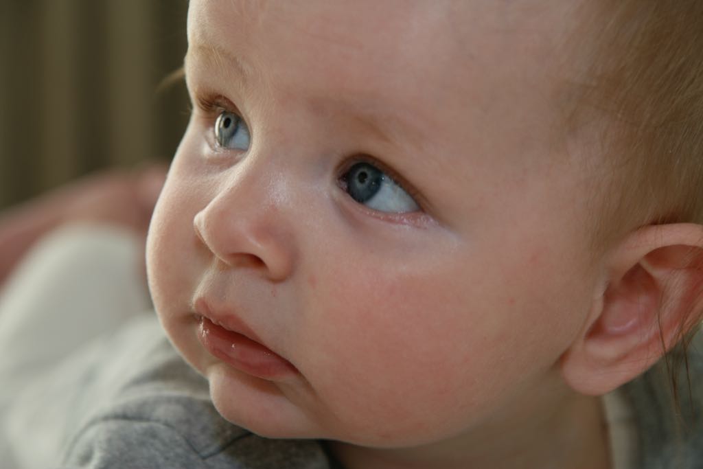 EOS IMG_0951