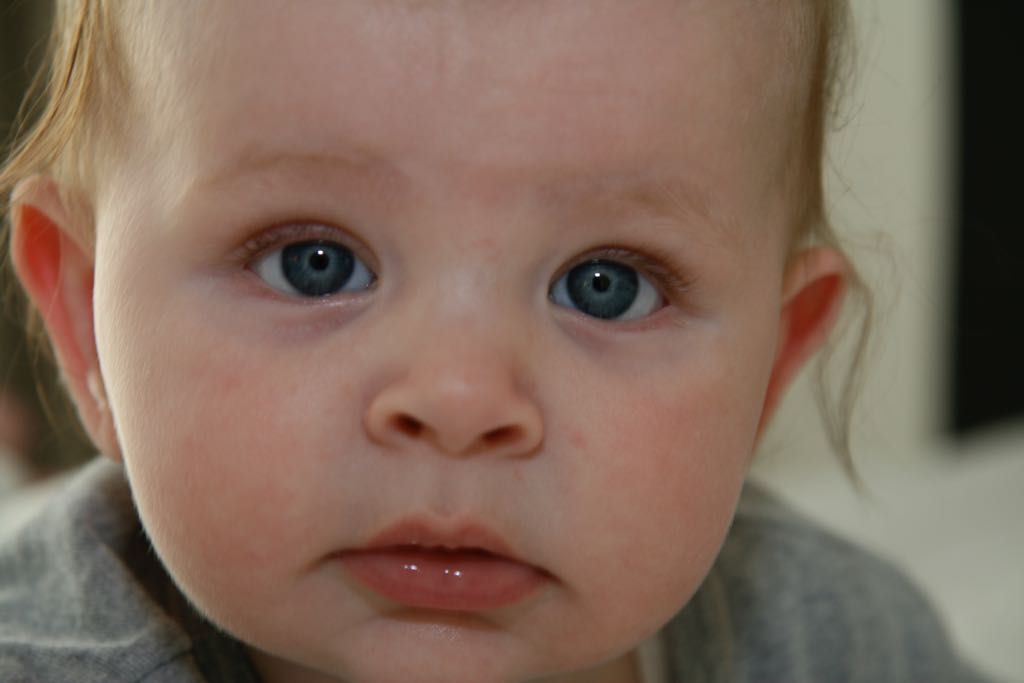 EOS IMG_0952