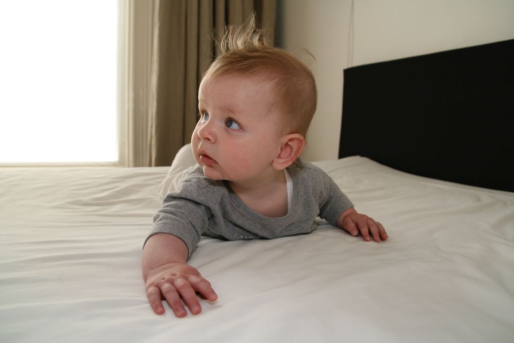 EOS IMG_0955
