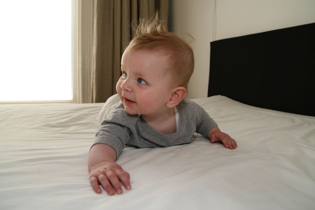 EOS IMG_0956