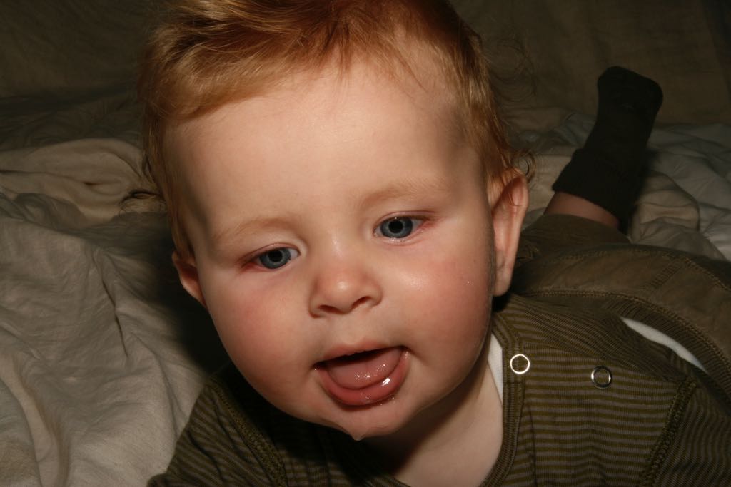 EOS IMG_1425
