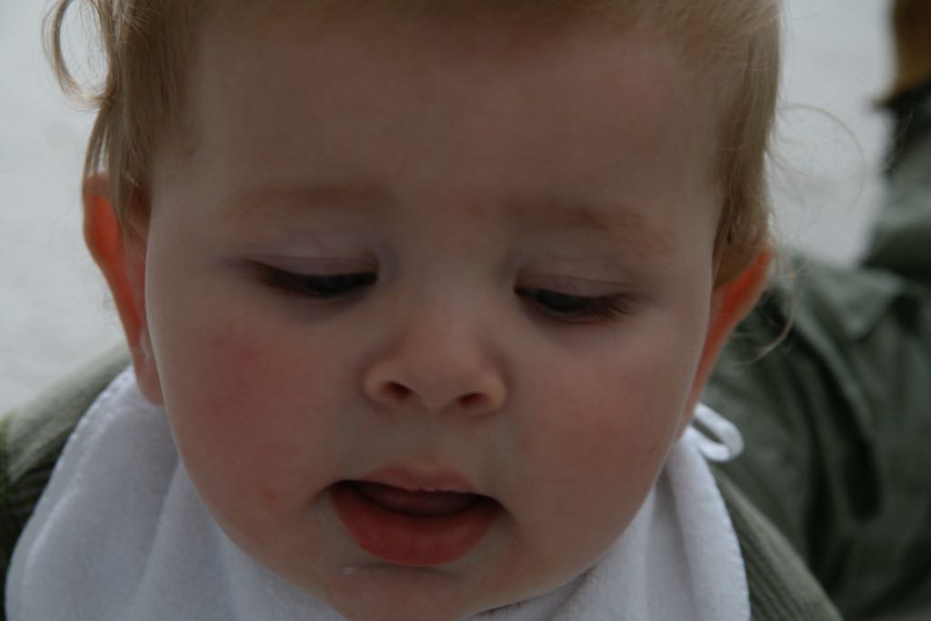 EOS IMG_1527