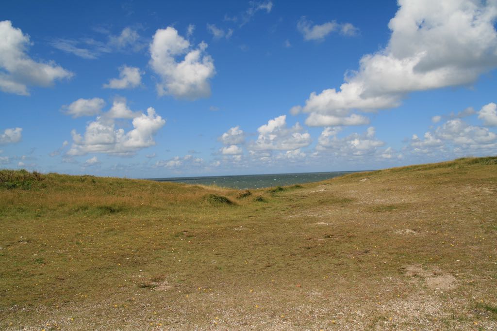 EOS IMG_1801