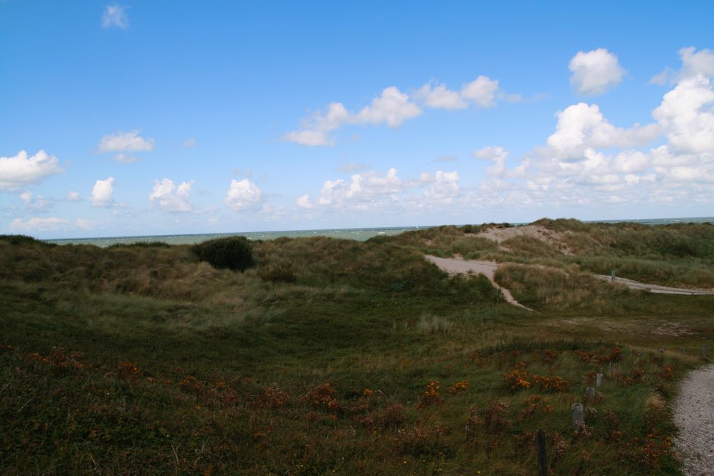 EOS IMG_1809