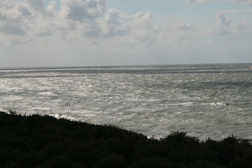 EOS IMG_1826