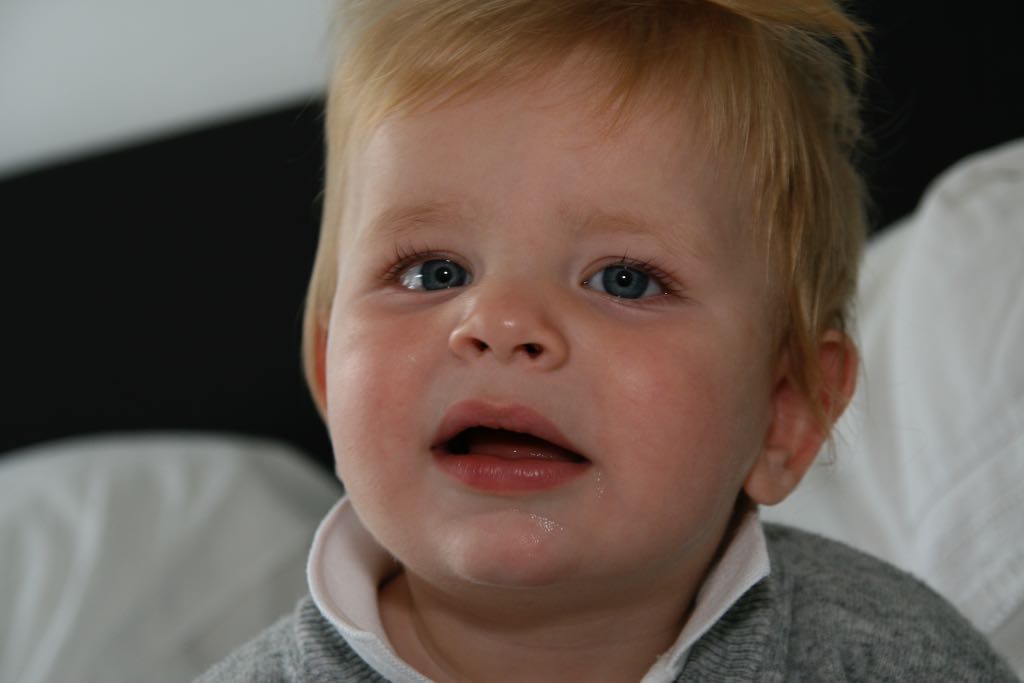 EOS IMG_2129