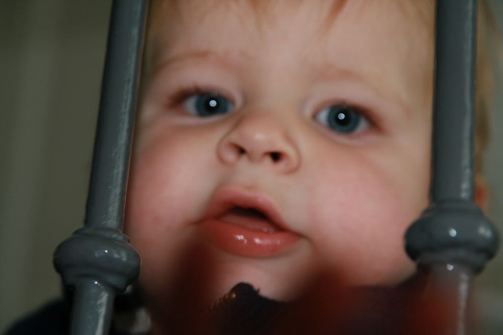 EOS IMG_2253