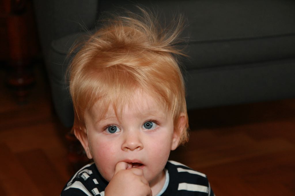 EOS IMG_2333
