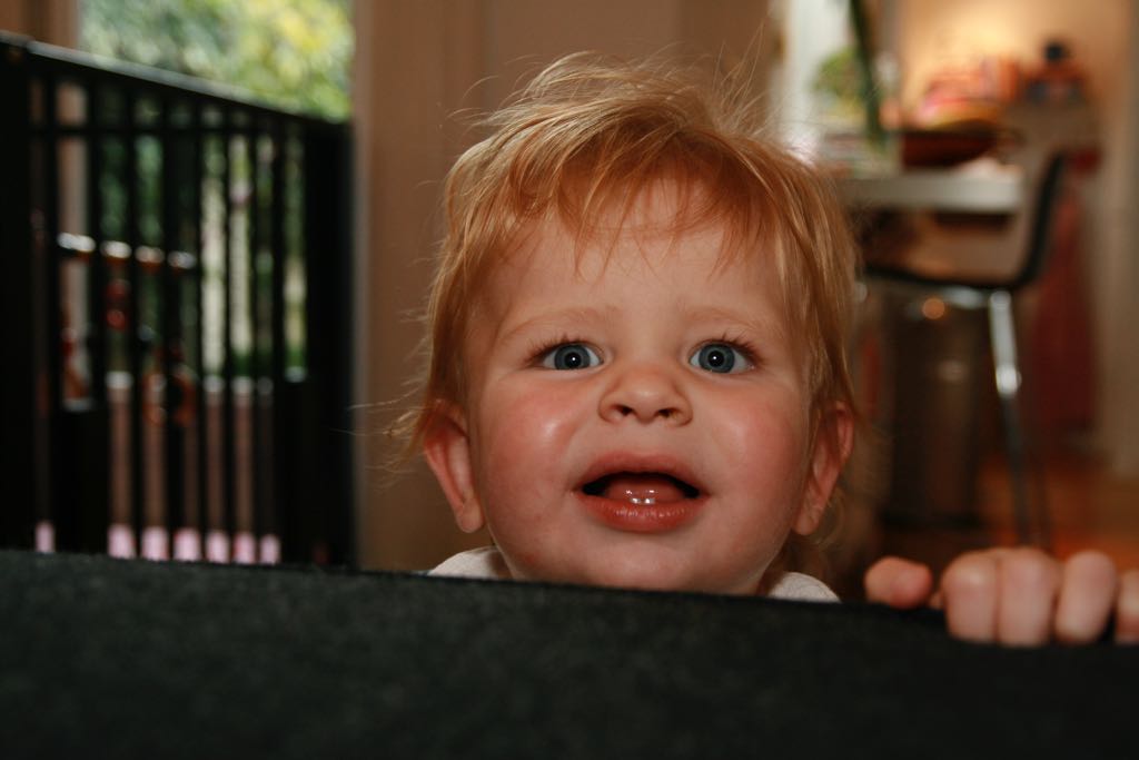 EOS IMG_2410