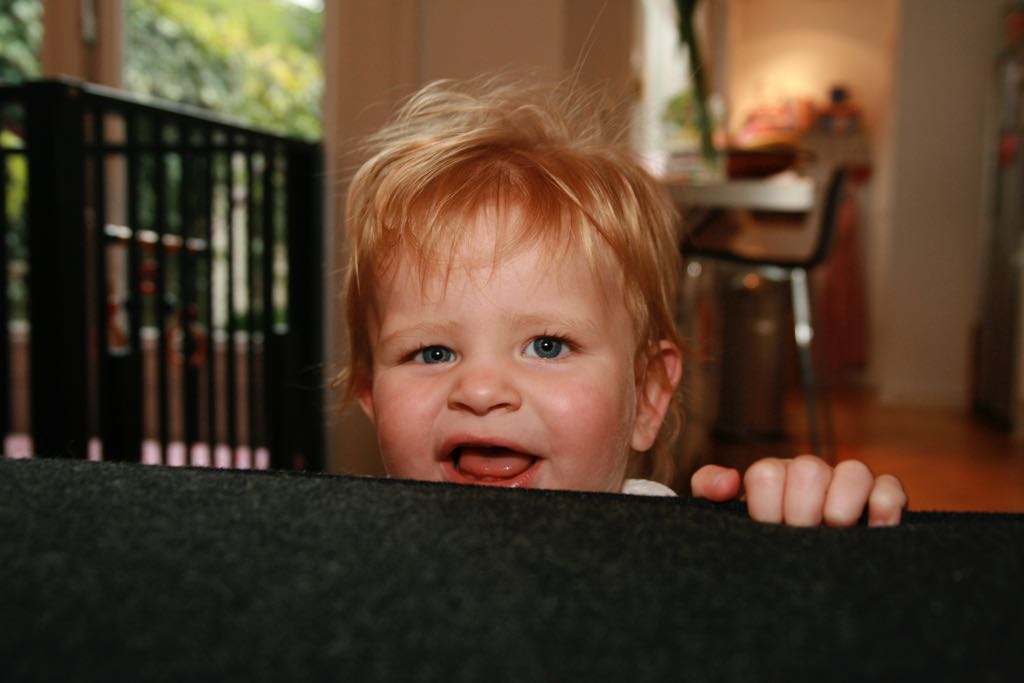 EOS IMG_2411