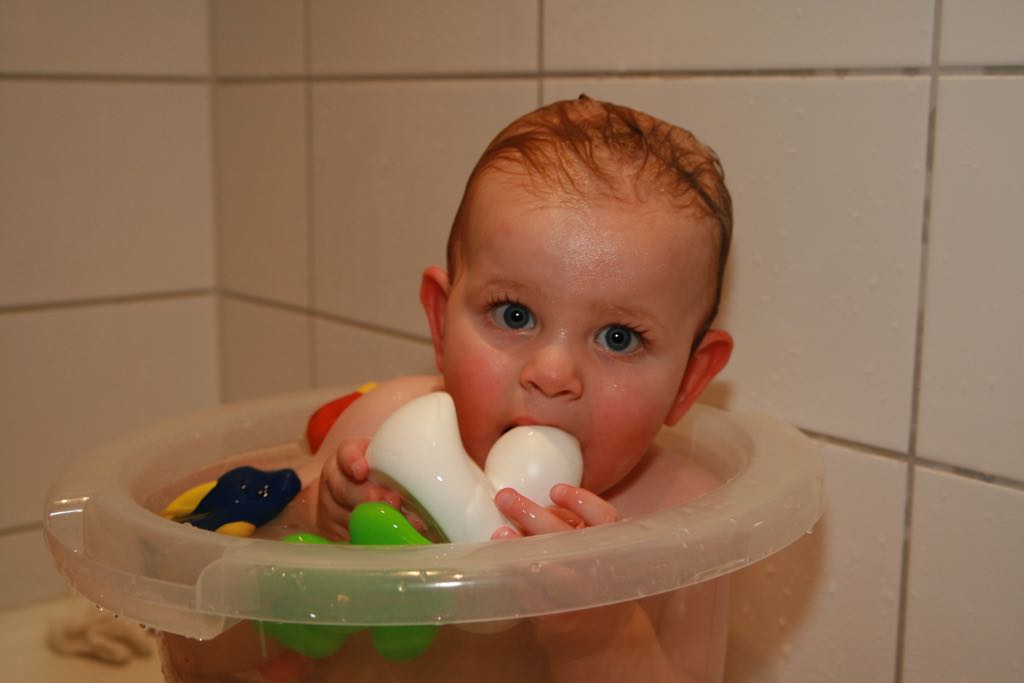 EOS IMG_2440