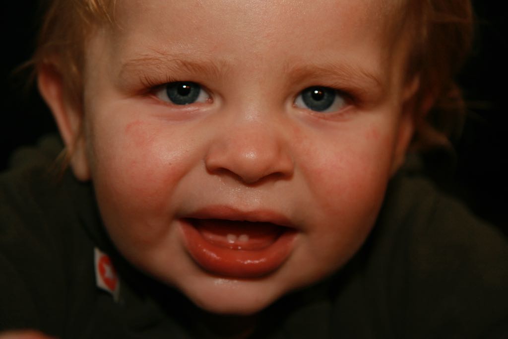 EOS IMG_2461