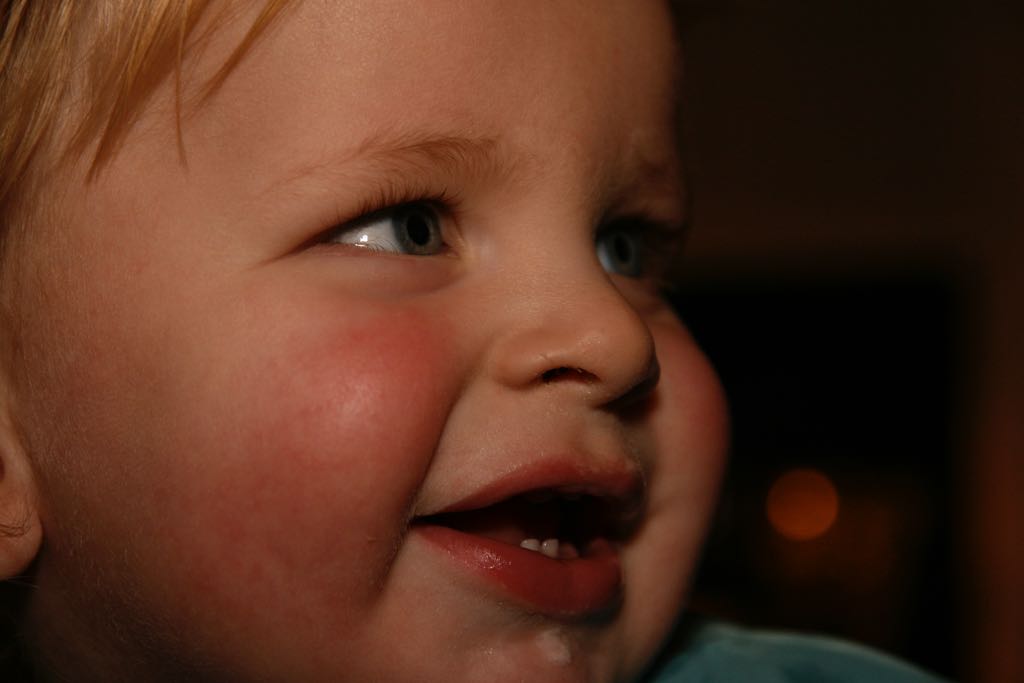 EOS IMG_0017