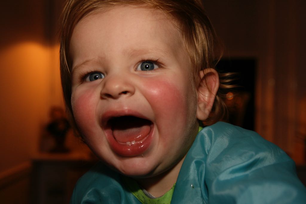 EOS IMG_0020