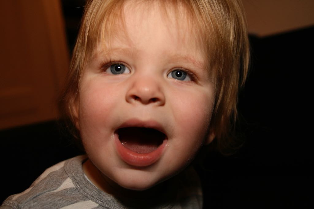 EOS IMG_0029