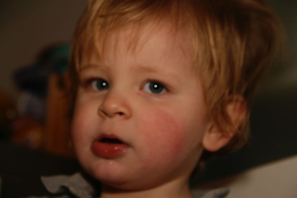 EOS IMG_0114