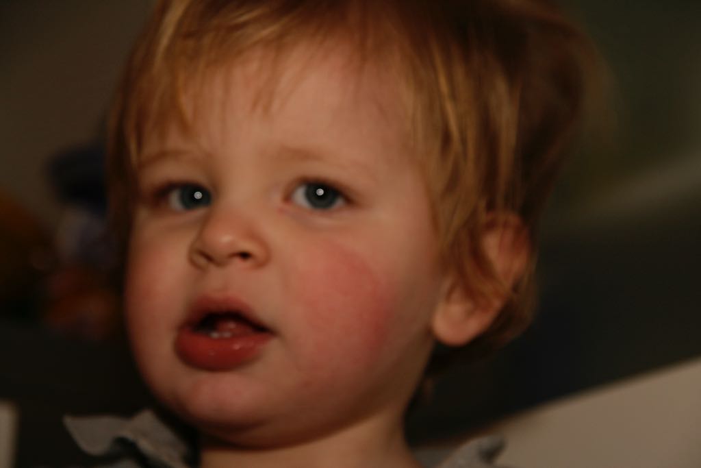 EOS IMG_0115