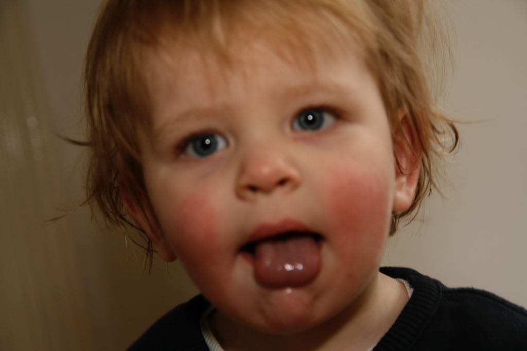 EOS IMG_0126