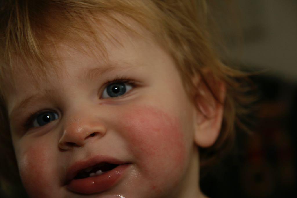 EOS IMG_0130