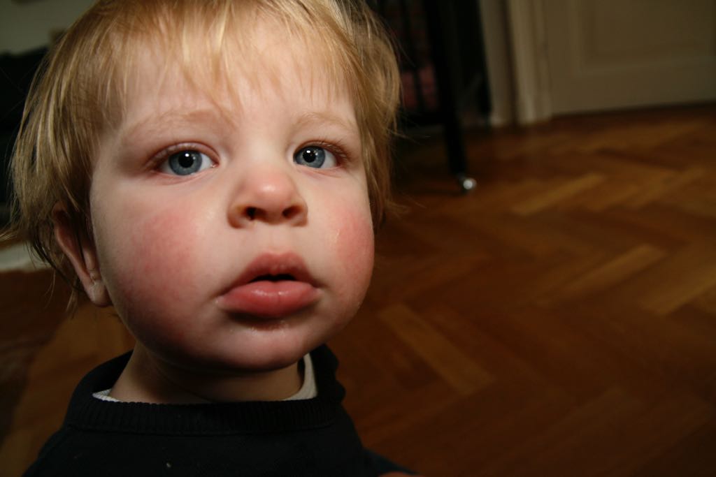 EOS IMG_0131