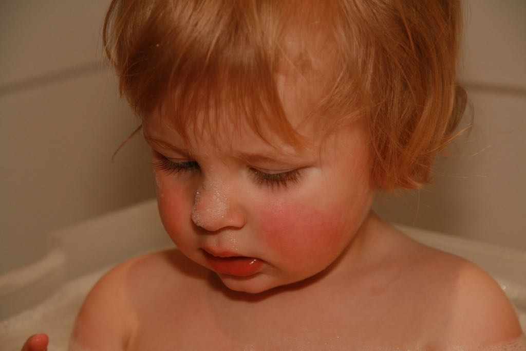 EOS IMG_0799