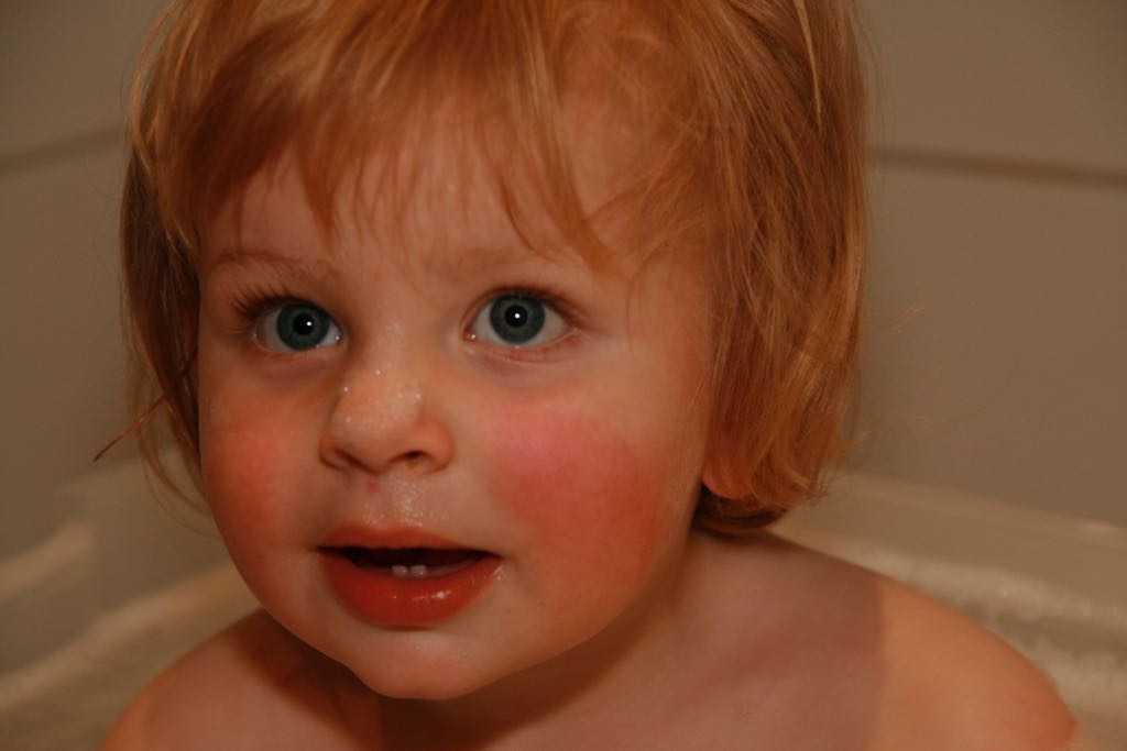 EOS IMG_0801