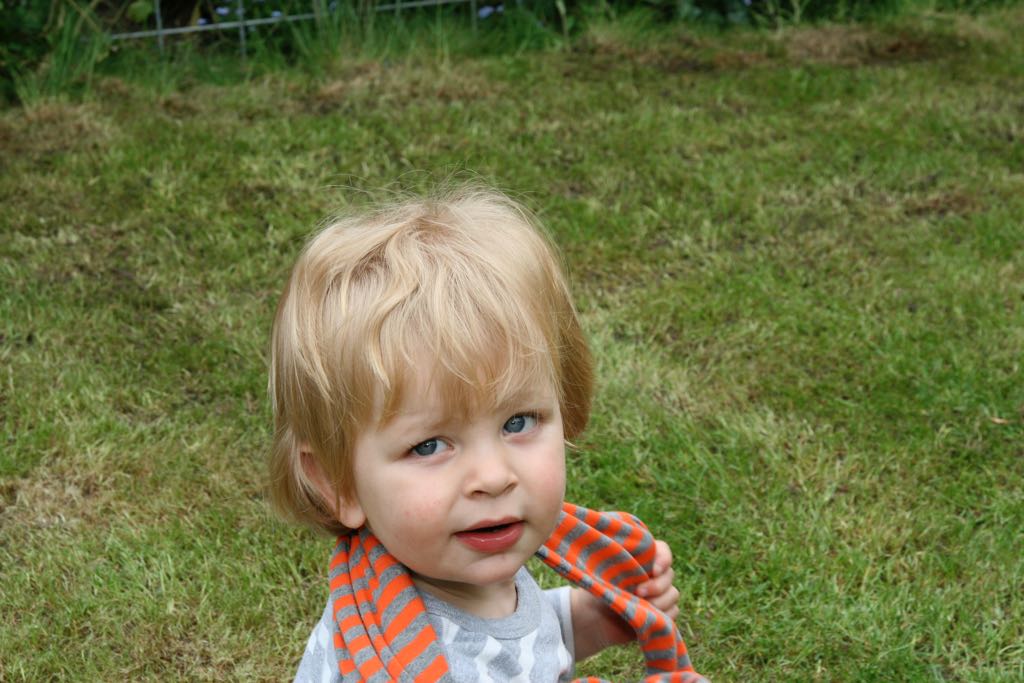 EOS IMG_0806