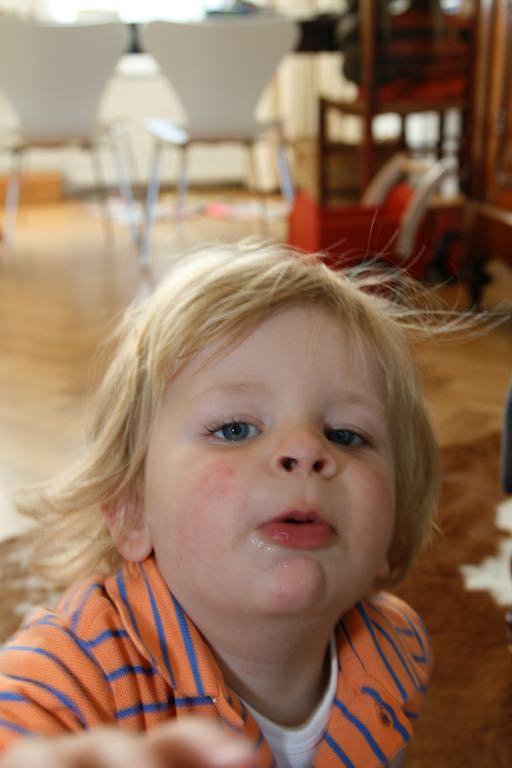 EOS IMG_1061