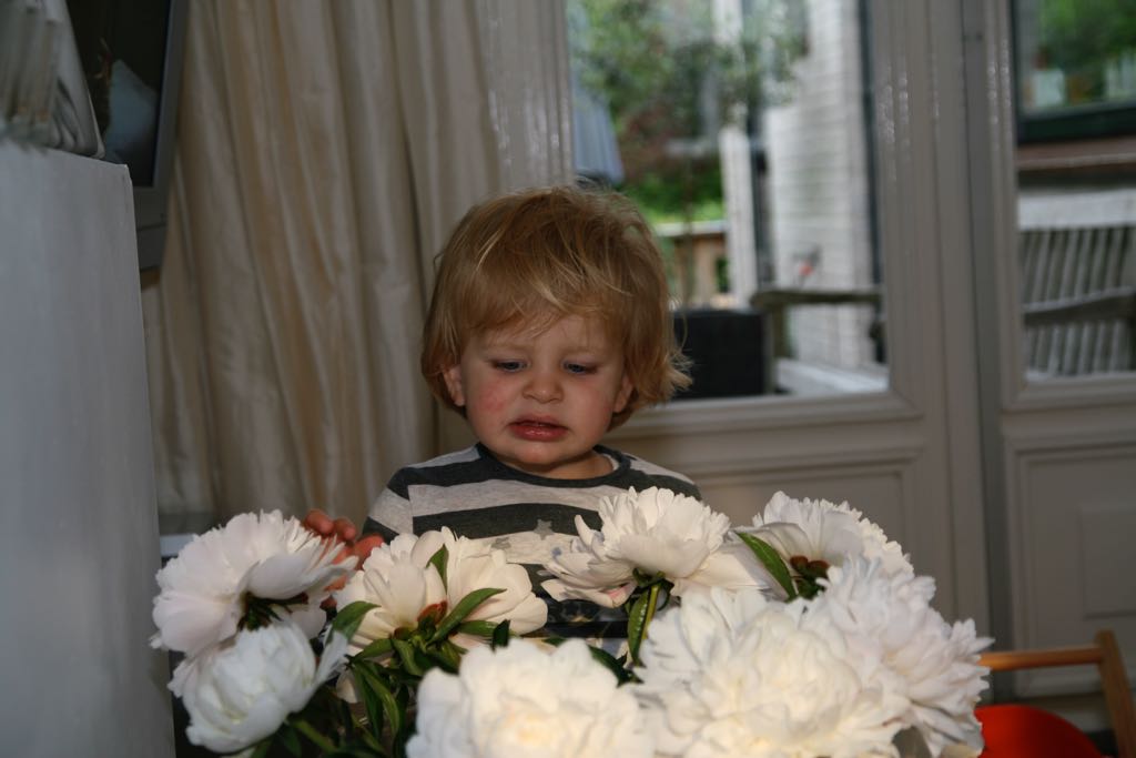 EOS IMG_1156