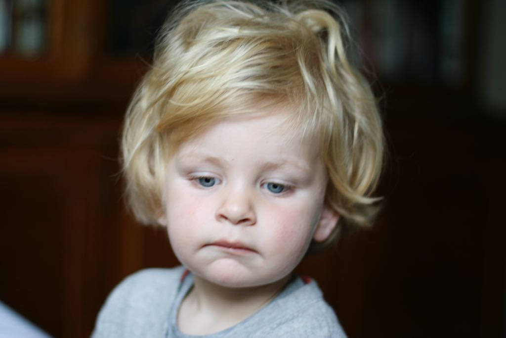 EOS IMG_1992