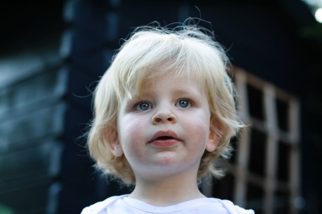 EOS IMG_2029