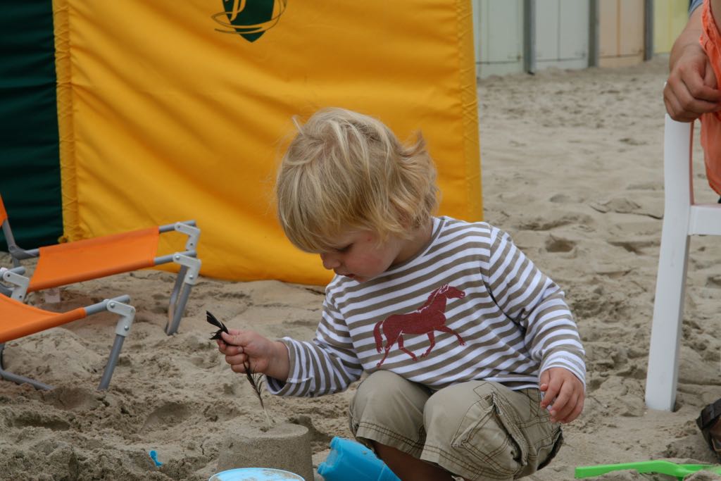 EOS IMG_2226