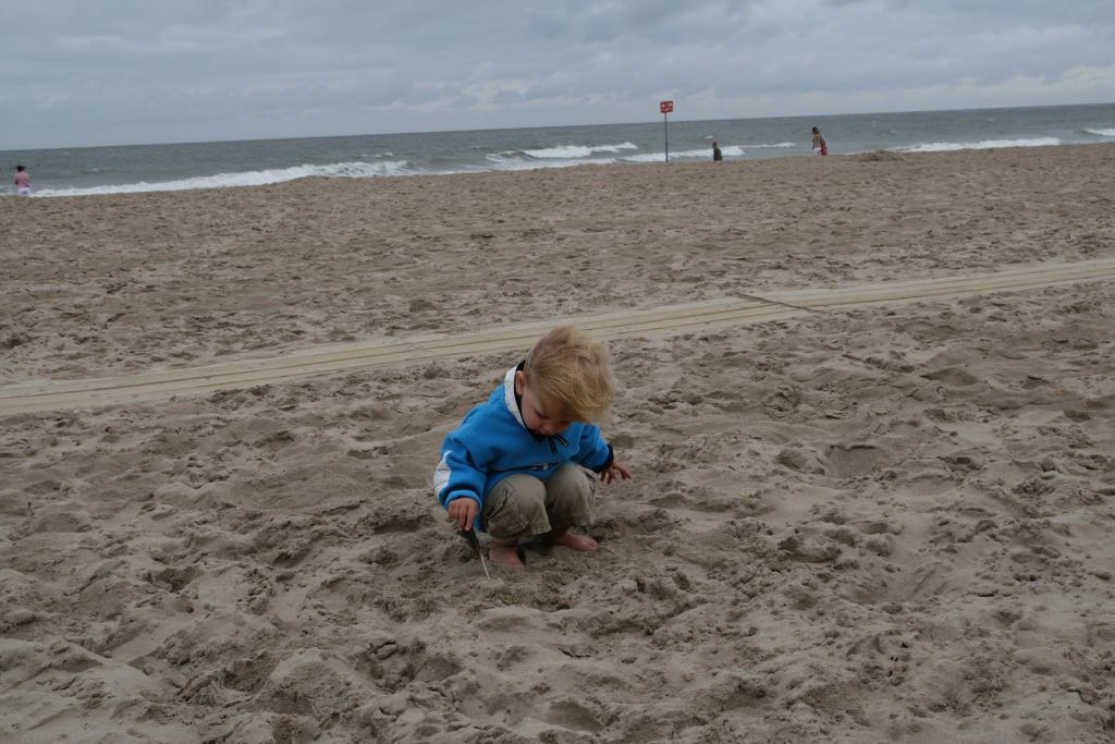 EOS IMG_2241