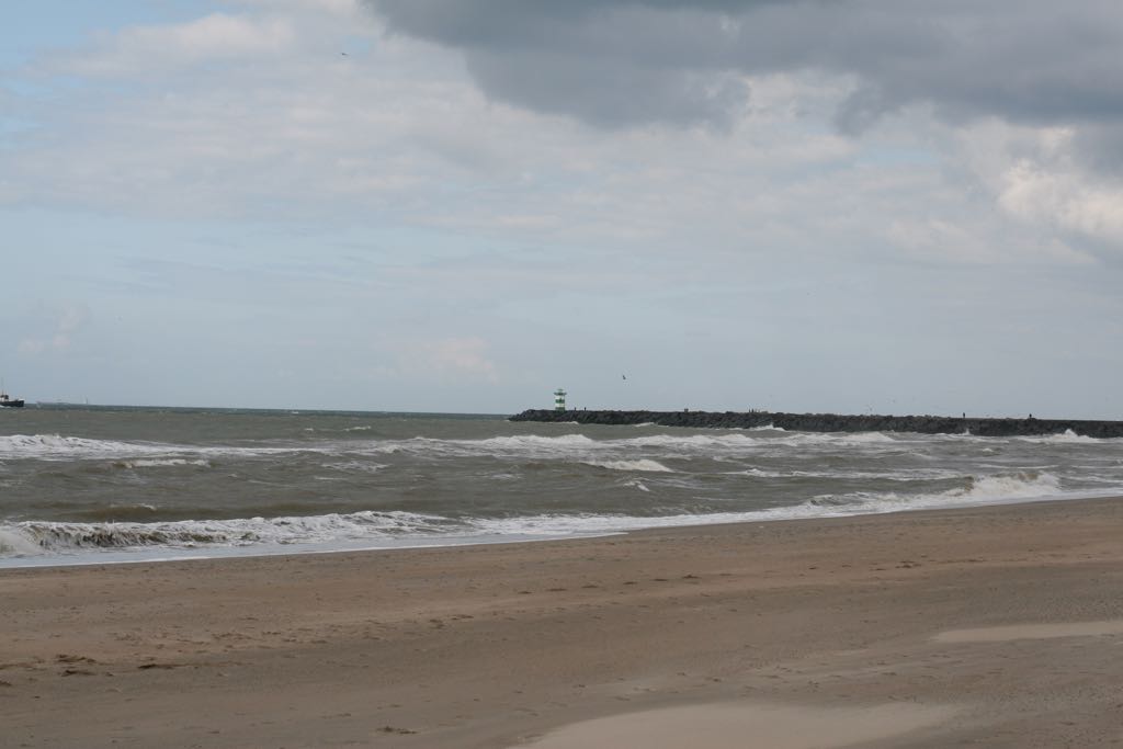EOS IMG_2308