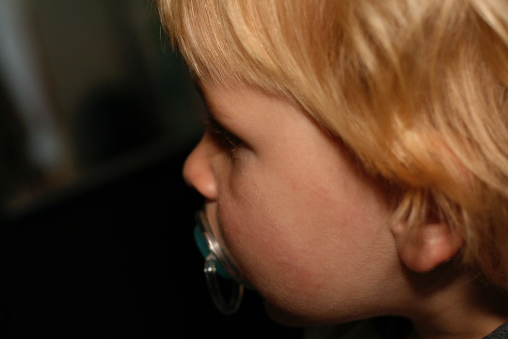 EOS IMG_2486