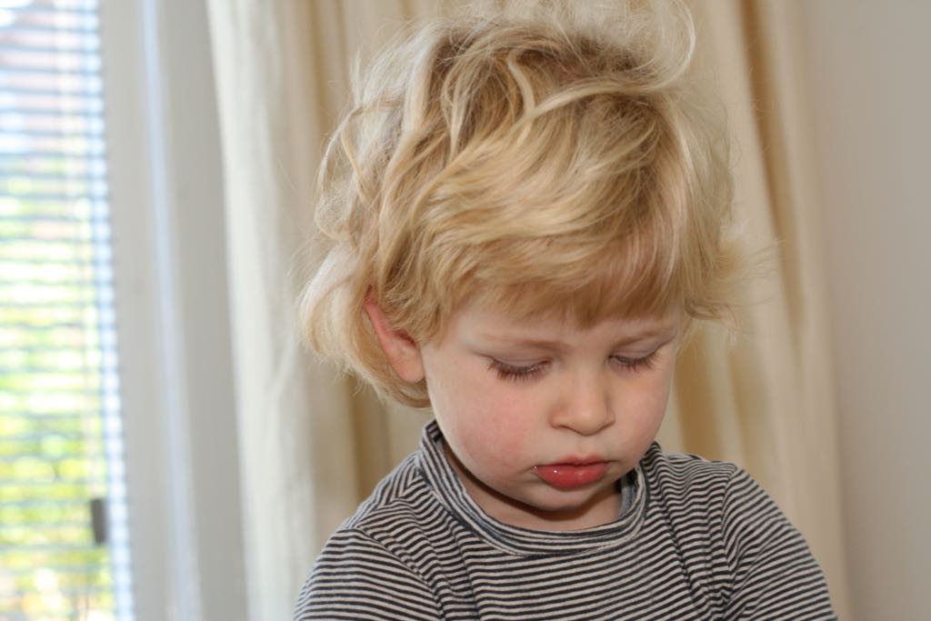 EOS IMG_2493