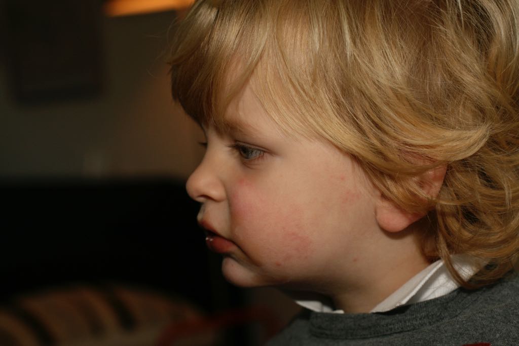 EOS IMG_2728