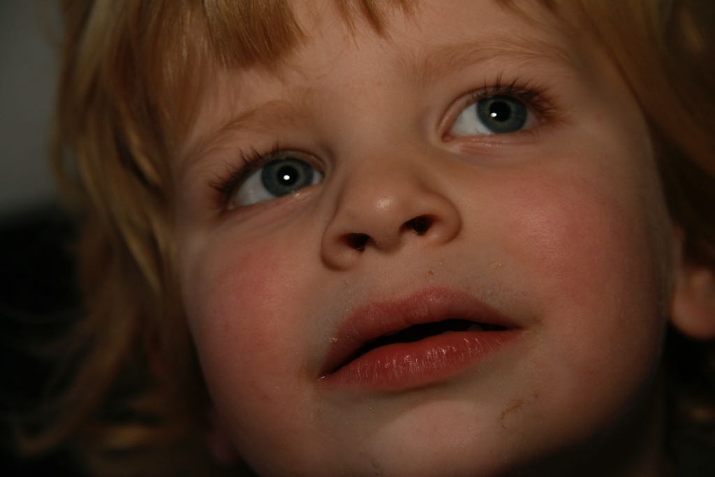 EOS IMG_7333