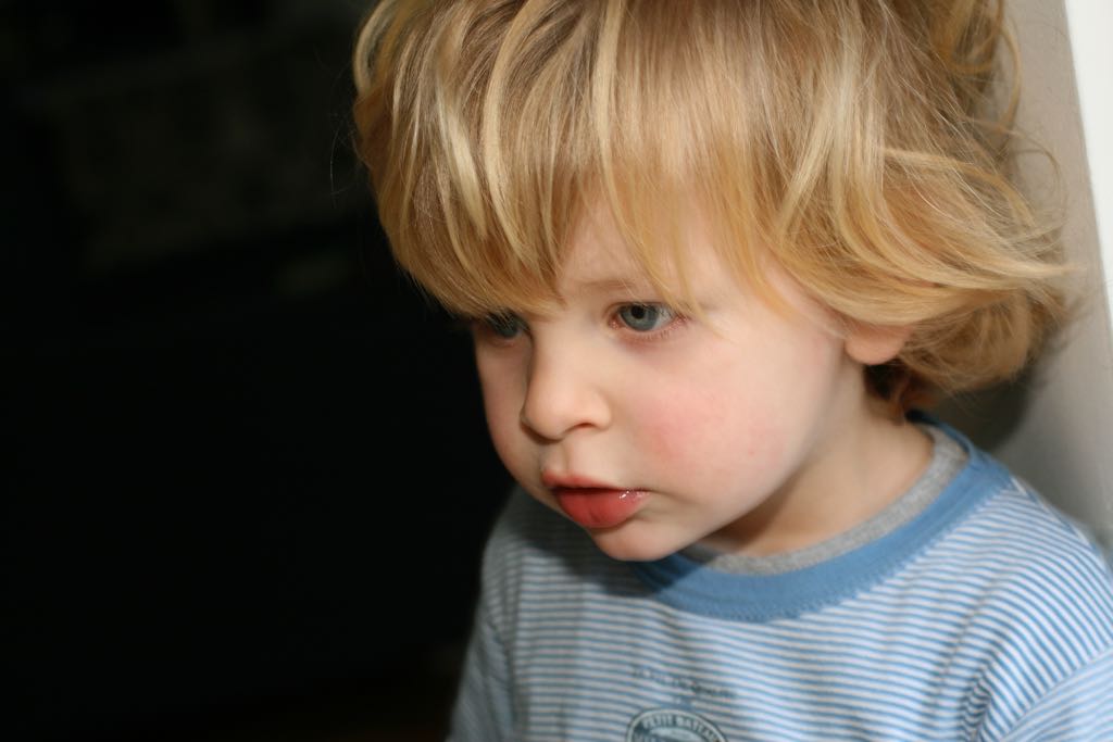 EOS IMG_7501
