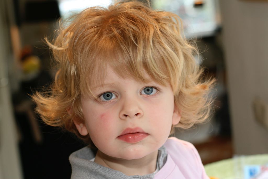 EOS IMG_0022