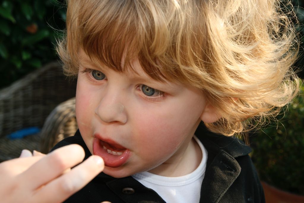 EOS IMG_20090403_0063