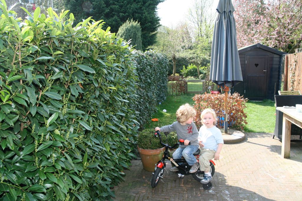 EOS IMG_20090410_0125