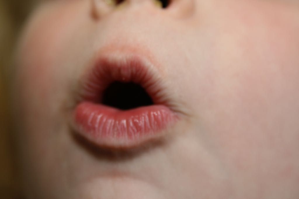 EOS IMG_20090413_0208
