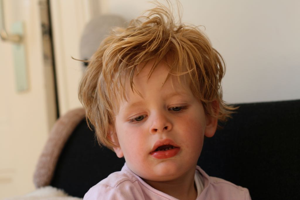 EOS IMG_20090623_0528