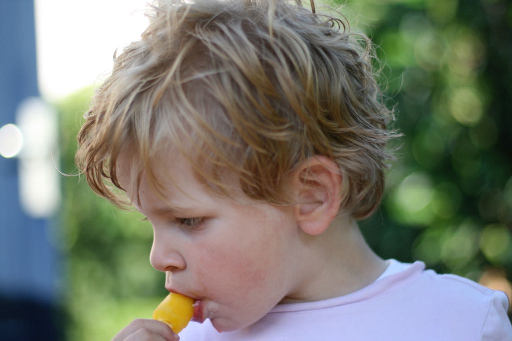 EOS IMG_20090623_0544