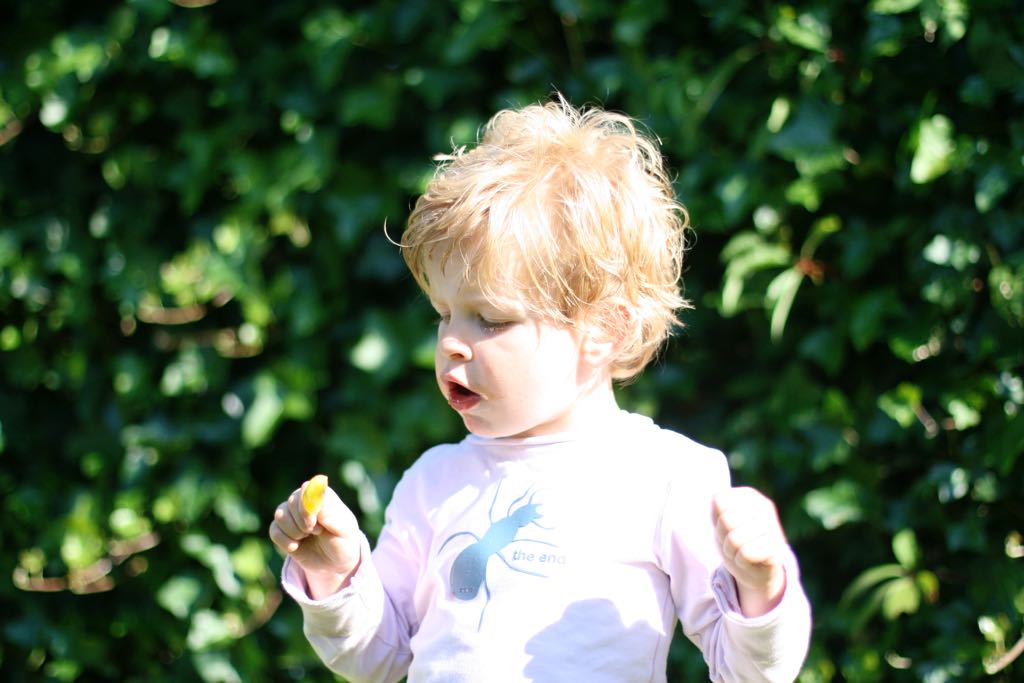EOS IMG_20090623_0546
