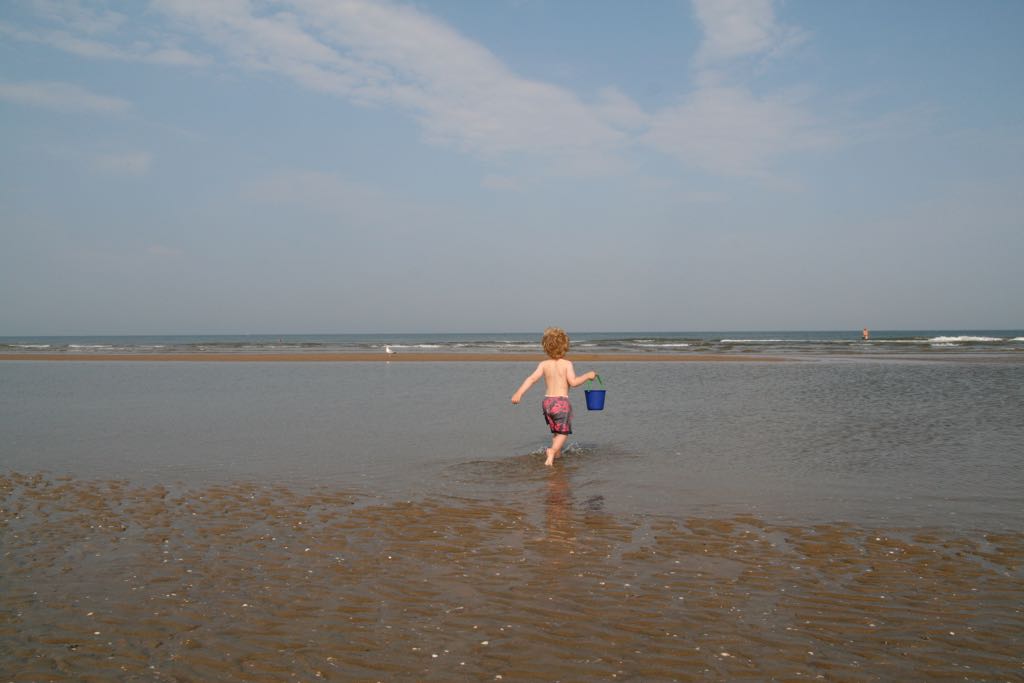 EOS IMG_20090703_0614