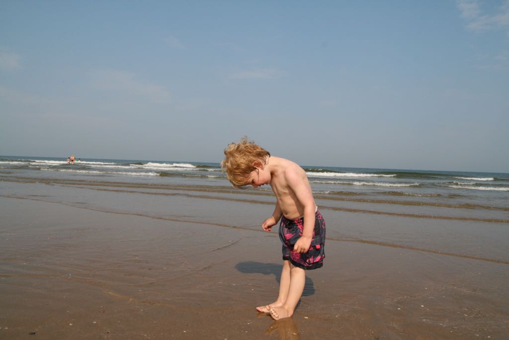 EOS IMG_20090703_0642