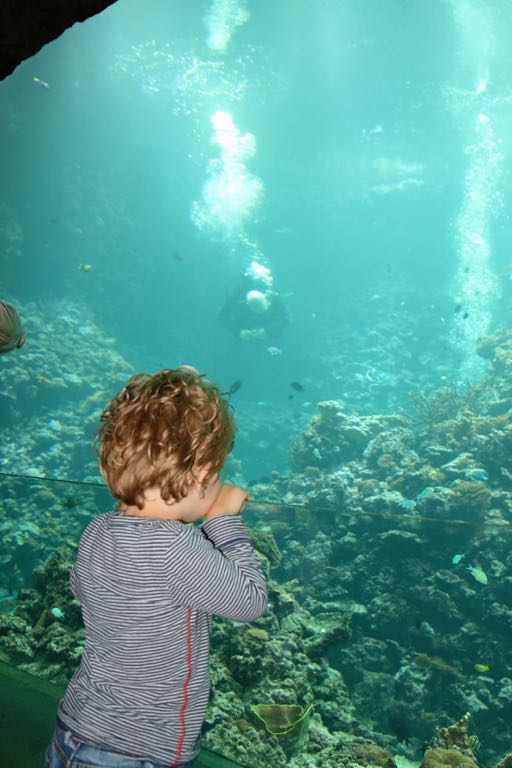 EOS IMG_20090709_0699
