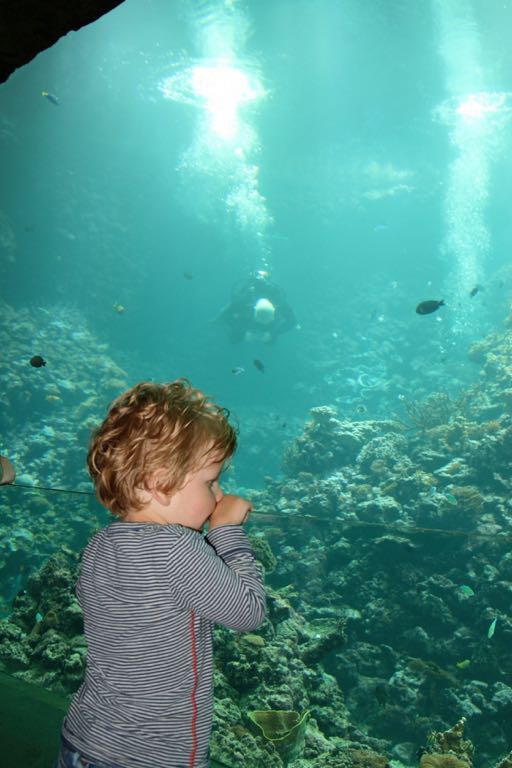 EOS IMG_20090709_0700